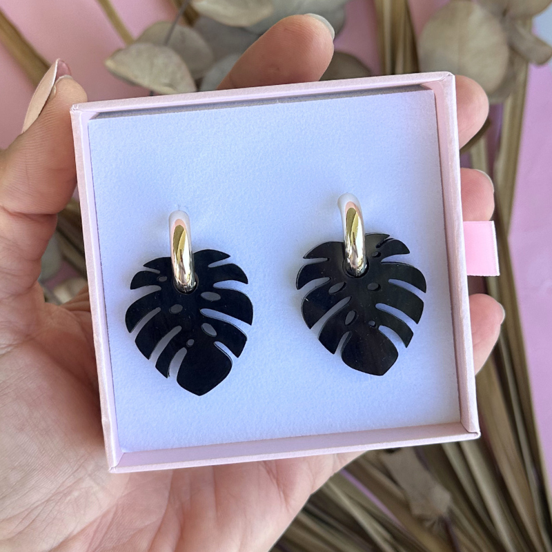 Monstera Midnight