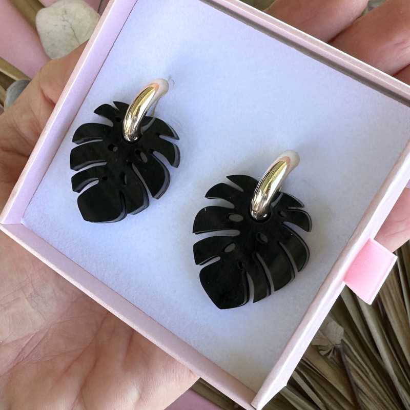 Monstera Midnight