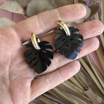 Monstera Midnight